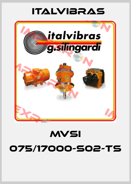 MVSI 075/17000-S02-TS  Italvibras