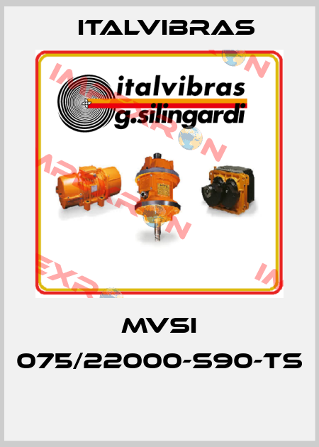 MVSI 075/22000-S90-TS  Italvibras
