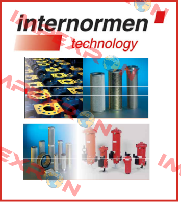 313167 Internormen