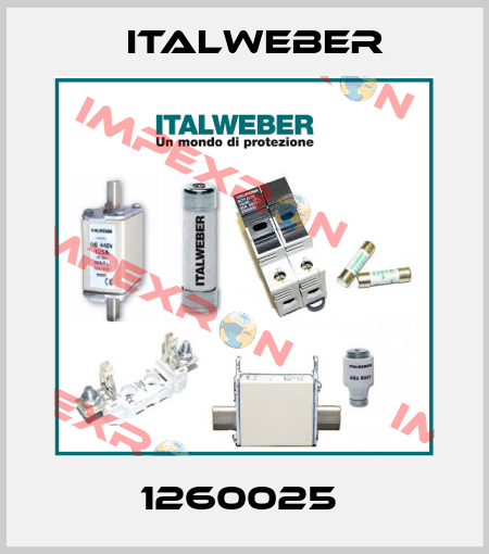 1260025  Italweber