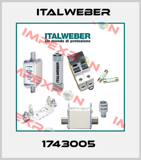 1743005  Italweber