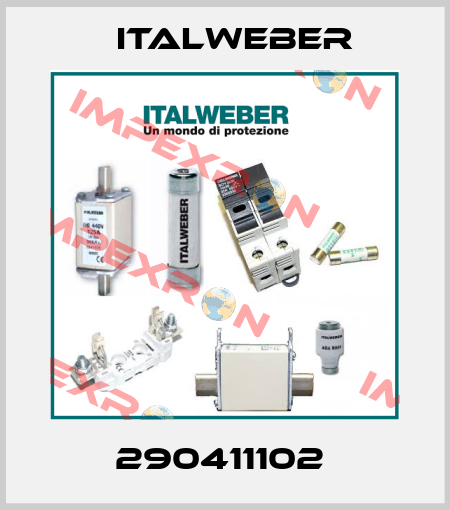 290411102  Italweber