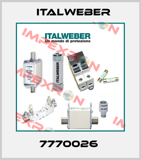 7770026  Italweber