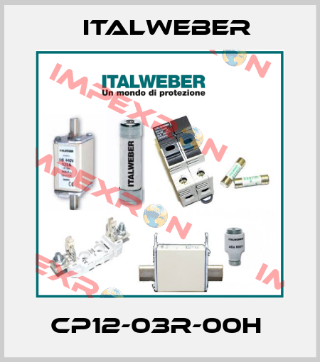 CP12-03R-00H  Italweber
