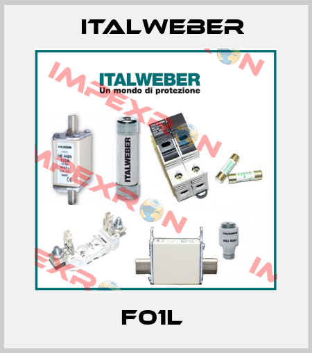 F01L  Italweber