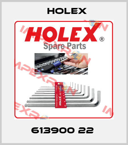 613900 22  Holex