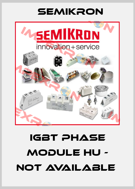 IGBT phase module HU - not available  Semikron