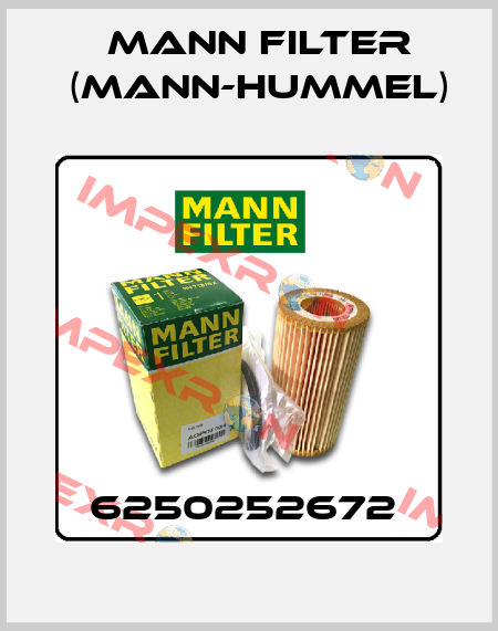 6250252672  Mann Filter (Mann-Hummel)