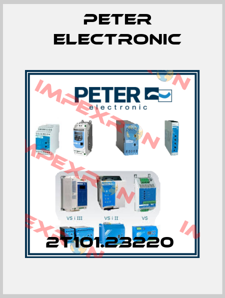 2T101.23220  Peter Electronic