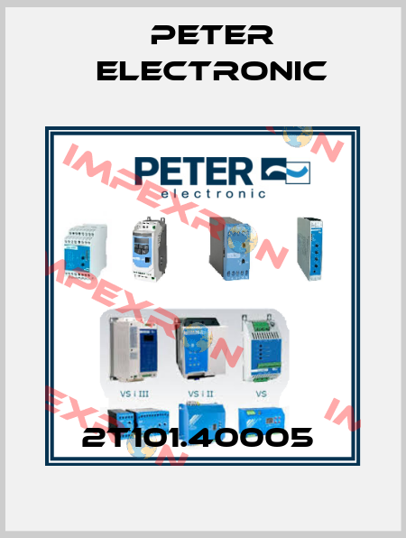2T101.40005  Peter Electronic