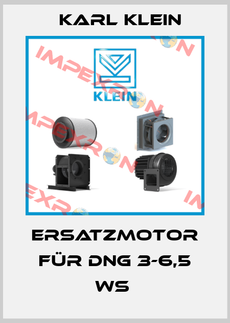 Ersatzmotor für DNG 3-6,5 WS  Karl Klein