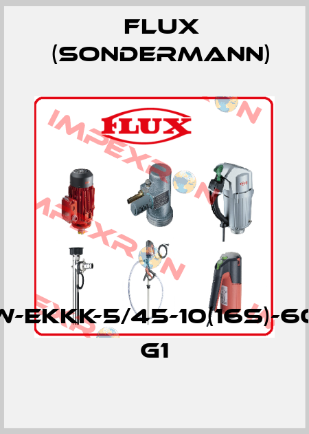RM-PPsw-EKKK-5/45-10(16s)-60W/1-G5/4 G1 Flux (Sondermann)