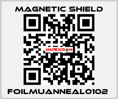 FOILMUANNEAL0102  Magnetic Shield