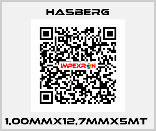 1,00MMX12,7MMX5MT  Hasberg