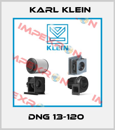 DNG 13-120  Karl Klein