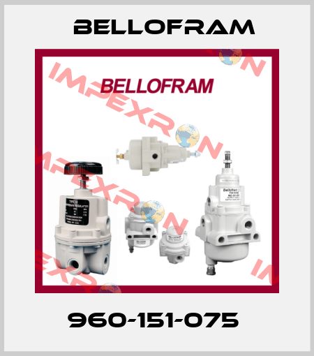 960-151-075  Bellofram