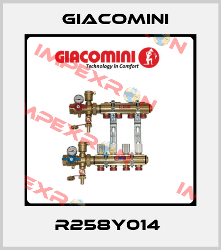 R258Y014  Giacomini