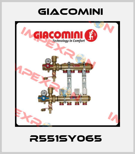 R551SY065  Giacomini