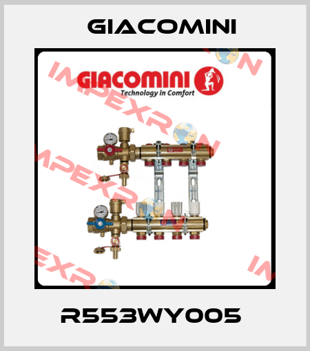 R553WY005  Giacomini