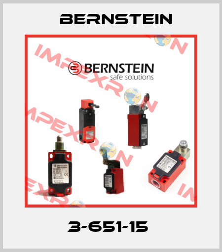 3-651-15  Bernstein