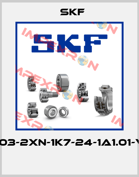 P203-2XN-1K7-24-1A1.01-V10  Skf
