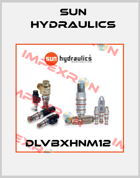 DLVBXHNM12  Sun Hydraulics