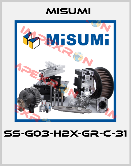 SS-G03-H2X-GR-C-31  Misumi