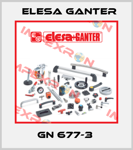 GN 677-3  Elesa Ganter