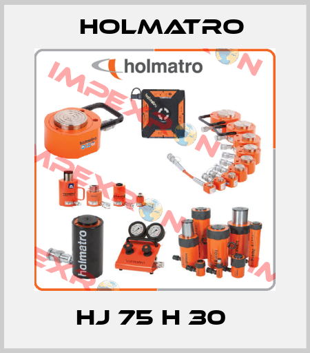 HJ 75 H 30  Holmatro