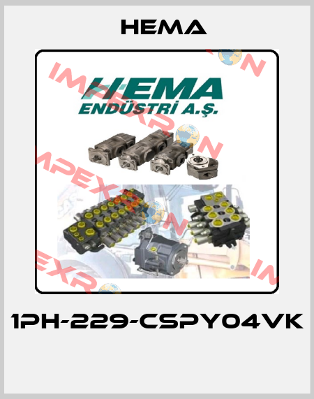 1PH-229-CSPY04VK  Hema