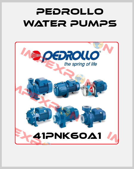 41PNK60A1 Pedrollo Water Pumps