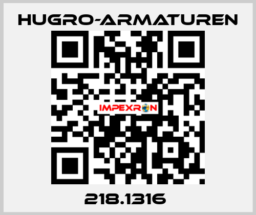 218.1316  Hugro-Armaturen