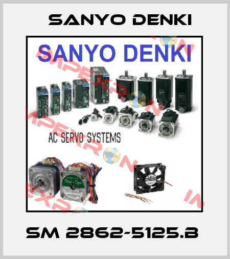 SM 2862-5125.B  Sanyo Denki