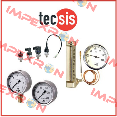 P1778B084002  Tecsis (WIKA Group)