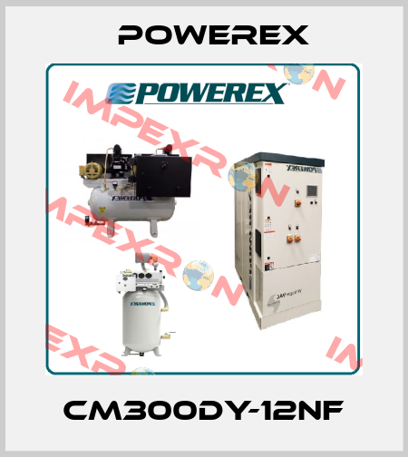 CM300DY-12NF Powerex