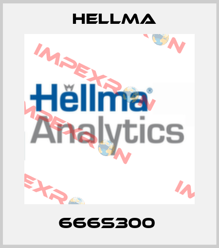 666S300  Hellma