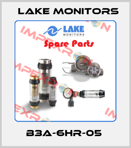 B3A-6HR-05  Lake Monitors