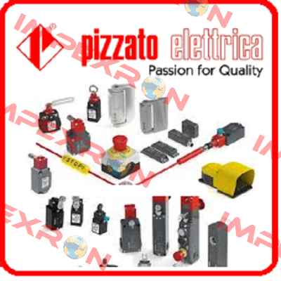 FD 702-1M2K21  Pizzato Elettrica