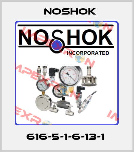 616-5-1-6-13-1  Noshok