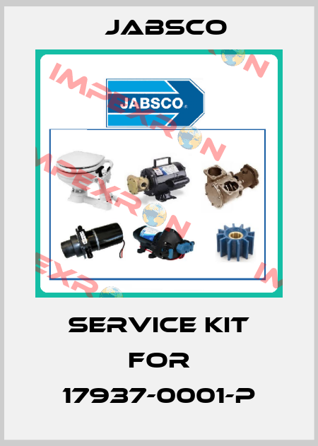 service kit for 17937-0001-P Jabsco