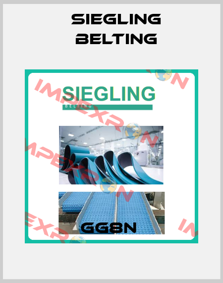 GG8N  Siegling Belting