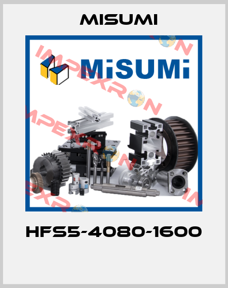 HFS5-4080-1600  Misumi