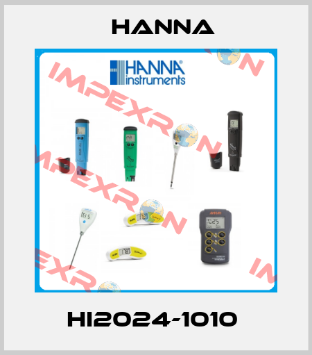 HI2024-1010  Hanna
