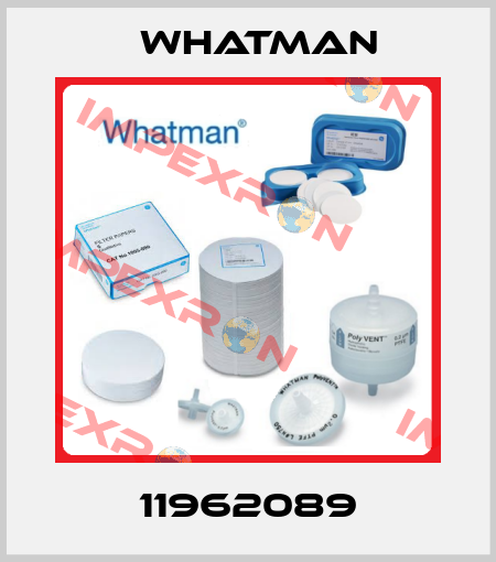 11962089 Whatman