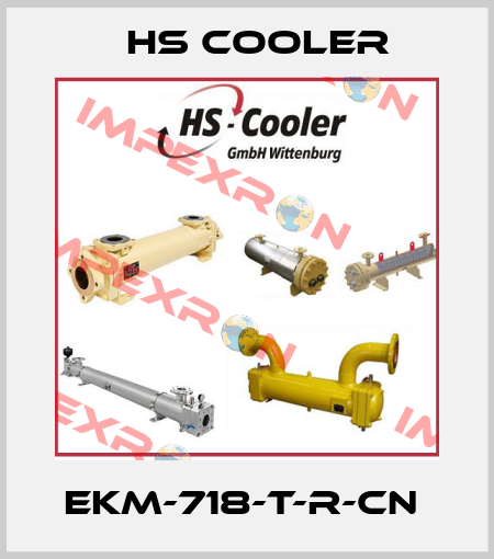 EKM-718-T-R-CN  HS Cooler