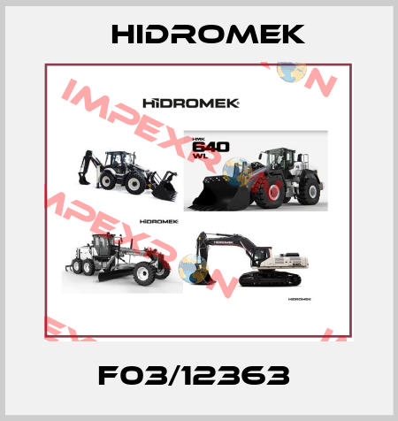 F03/12363  Hidromek
