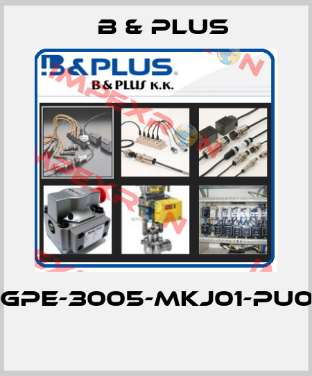 RGPE-3005-MKJ01-PU02  B & PLUS