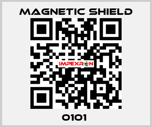 0101  Magnetic Shield