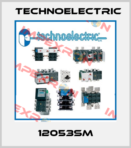 12053SM Technoelectric