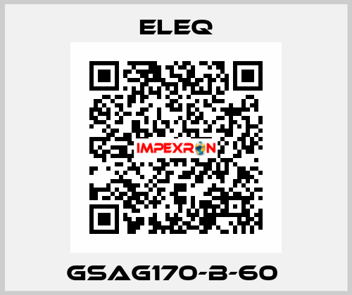 GSAG170-B-60  ELEQ